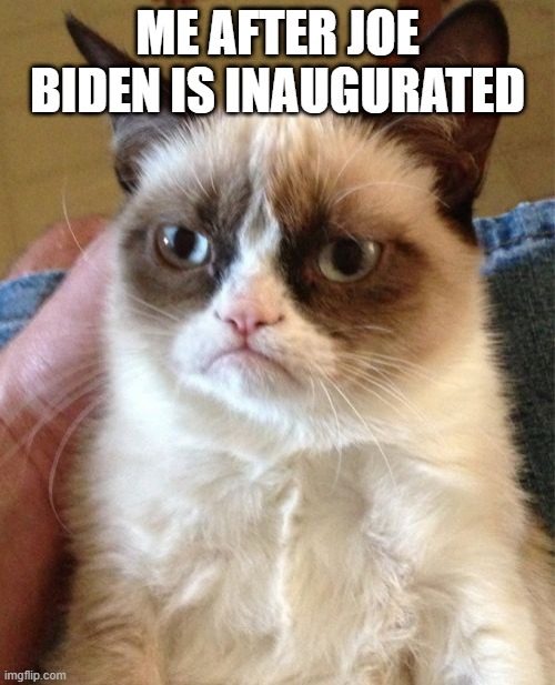 me after joe Biden is inaugurated | ME AFTER JOE BIDEN IS INAUGURATED | image tagged in memes,grumpy cat | made w/ Imgflip meme maker