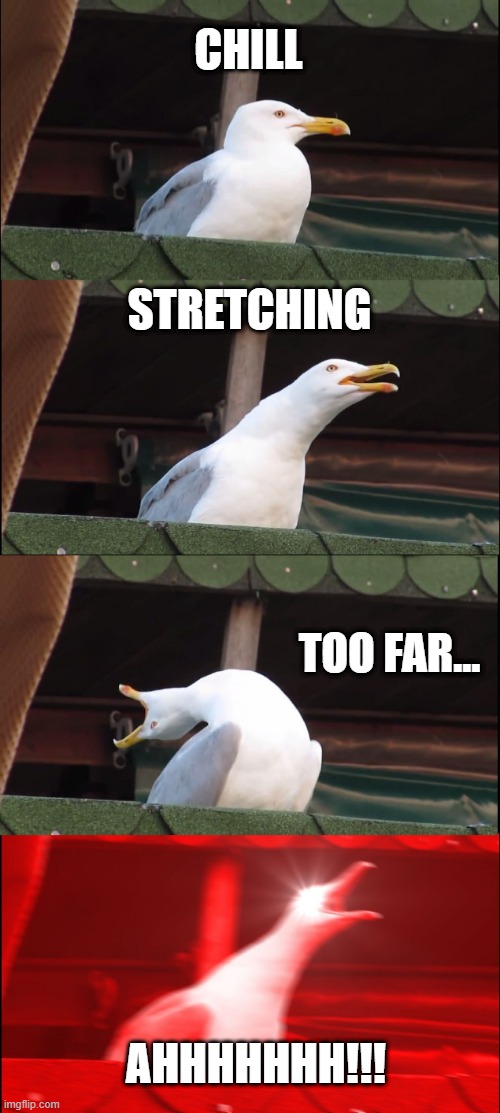 too far | CHILL; STRETCHING; TOO FAR... AHHHHHHH!!! | image tagged in memes,inhaling seagull | made w/ Imgflip meme maker