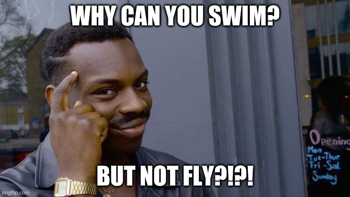 Roll Safe Think About It | WHY CAN YOU SWIM? BUT NOT FLY?!?! | image tagged in memes,roll safe think about it | made w/ Imgflip meme maker