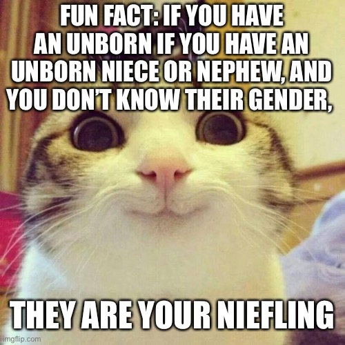 I have a niefling... | FUN FACT: IF YOU HAVE AN UNBORN IF YOU HAVE AN UNBORN NIECE OR NEPHEW, AND YOU DON’T KNOW THEIR GENDER, THEY ARE YOUR NIEFLING | image tagged in memes,smiling cat,smile,family,cat,fun fact | made w/ Imgflip meme maker