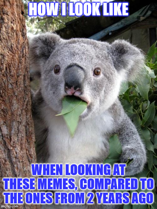 True story, many times :) | HOW I LOOK LIKE; WHEN LOOKING AT THESE MEMES, COMPARED TO THE ONES FROM 2 YEARS AGO | image tagged in memes,surprised koala,funny,i don't get it,leafs | made w/ Imgflip meme maker