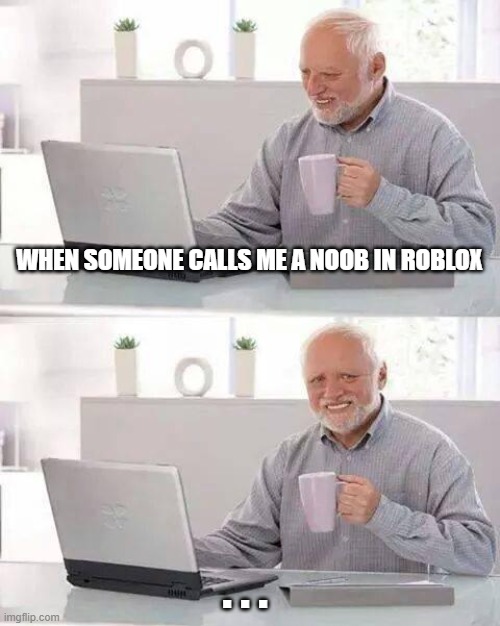 Hide the  pain.. :( | WHEN SOMEONE CALLS ME A NOOB IN ROBLOX; . . . | image tagged in memes,hide the pain harold | made w/ Imgflip meme maker