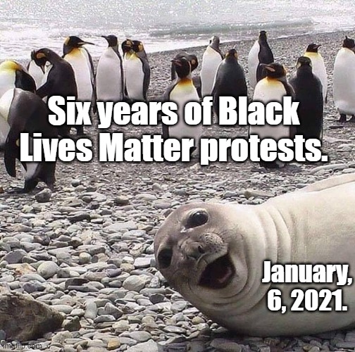 photo bomb | Six years of Black Lives Matter protests. January, 6, 2021. | image tagged in photo bomb | made w/ Imgflip meme maker