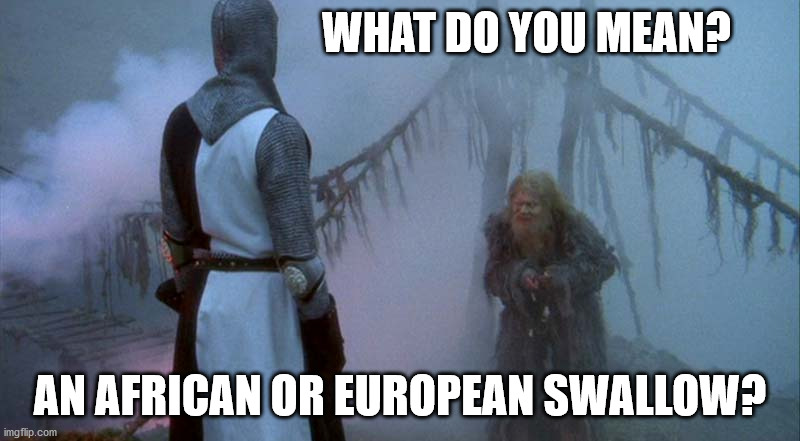 Monty Python and the Bridge of Death |  WHAT DO YOU MEAN? AN AFRICAN OR EUROPEAN SWALLOW? | image tagged in monty python and the bridge of death | made w/ Imgflip meme maker
