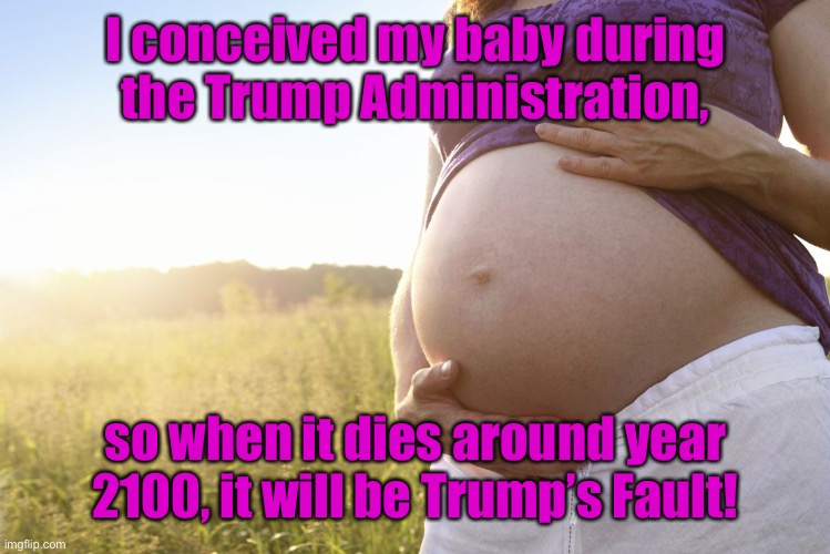 Pregnant Woman | I conceived my baby during the Trump Administration, so when it dies around year 2100, it will be Trump’s Fault! | image tagged in pregnant woman | made w/ Imgflip meme maker