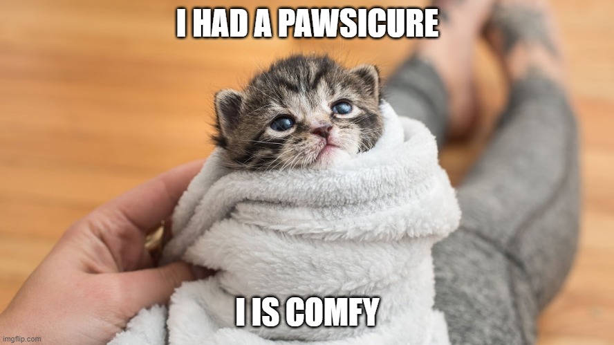 aaawe |  I HAD A PAWSICURE; I IS COMFY | image tagged in memes,pawsicure,get it,cute kitten | made w/ Imgflip meme maker
