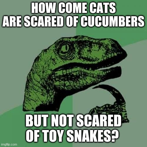 Philosoraptor Meme | HOW COME CATS ARE SCARED OF CUCUMBERS; BUT NOT SCARED OF TOY SNAKES? | image tagged in memes,philosoraptor | made w/ Imgflip meme maker
