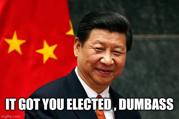 Xi Jinping | IT GOT YOU ELECTED , DUMBASS | image tagged in xi jinping | made w/ Imgflip meme maker