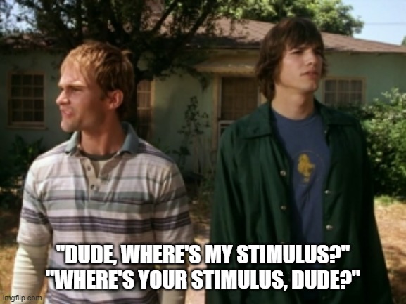 dude wheres my car | "DUDE, WHERE'S MY STIMULUS?"
"WHERE'S YOUR STIMULUS, DUDE?" | image tagged in dude wheres my car | made w/ Imgflip meme maker