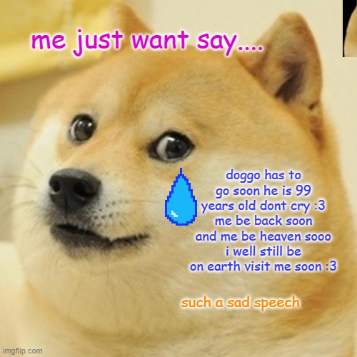 bye doggo... | me just want say.... doggo has to go soon he is 99 years old dont cry :3 me be back soon and me be heaven sooo i well still be on earth visit me soon :3; such a sad speech | image tagged in memes,doge | made w/ Imgflip meme maker