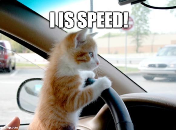 kitty's driving today | I IS SPEED! | image tagged in memes,funny memes,kitten | made w/ Imgflip meme maker