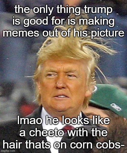 im not sorry- | the only thing trump is good for is making memes out of his picture; lmao he looks like a cheeto with the hair thats on corn cobs- | image tagged in donald trumph hair | made w/ Imgflip meme maker