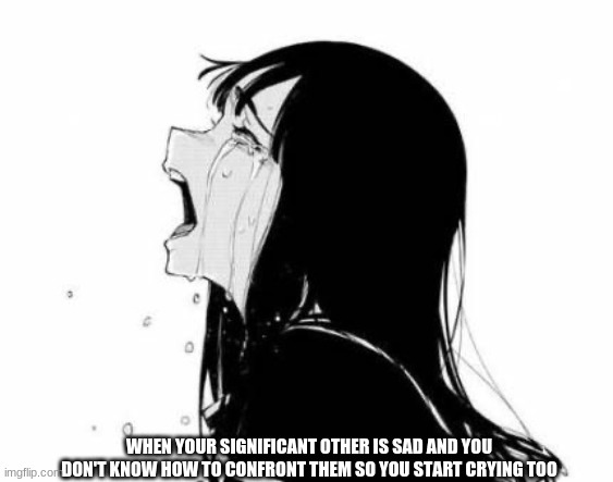 I'M SORRY! | WHEN YOUR SIGNIFICANT OTHER IS SAD AND YOU DON'T KNOW HOW TO CONFRONT THEM SO YOU START CRYING TOO | image tagged in crying anime girl | made w/ Imgflip meme maker