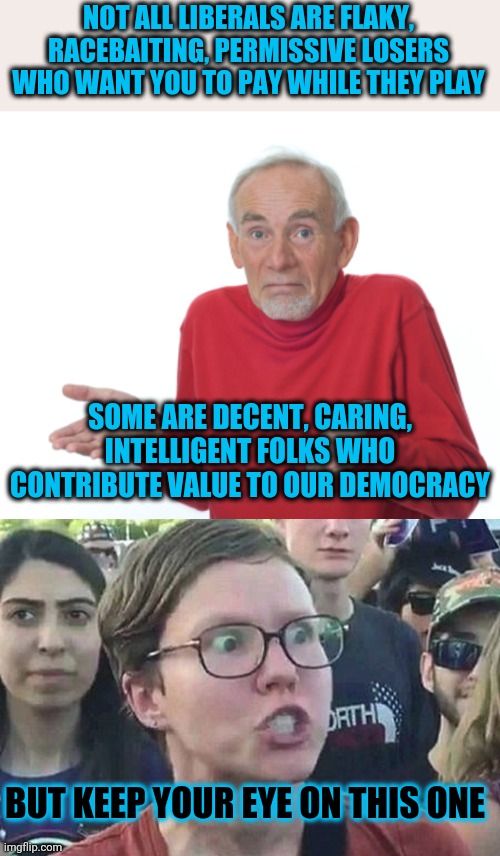 The other side of the coin | NOT ALL LIBERALS ARE FLAKY, RACEBAITING, PERMISSIVE LOSERS WHO WANT YOU TO PAY WHILE THEY PLAY; SOME ARE DECENT, CARING, INTELLIGENT FOLKS WHO CONTRIBUTE VALUE TO OUR DEMOCRACY; BUT KEEP YOUR EYE ON THIS ONE | image tagged in guess i'll die,triggered liberal | made w/ Imgflip meme maker