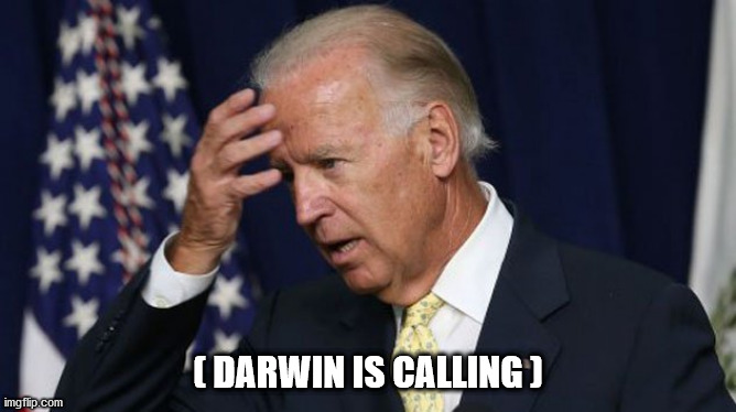 Joe Biden worries | ( DARWIN IS CALLING ) | image tagged in joe biden worries | made w/ Imgflip meme maker