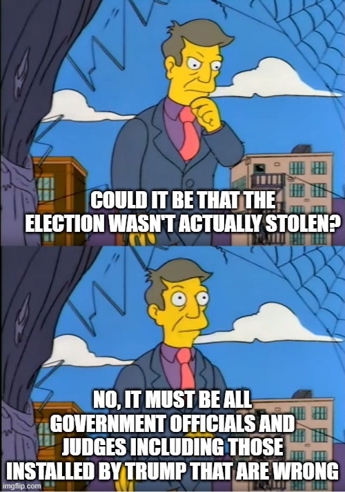 Skinner Out Of Touch | COULD IT BE THAT THE ELECTION WASN'T ACTUALLY STOLEN? NO, IT MUST BE ALL GOVERNMENT OFFICIALS AND JUDGES INCLUDING THOSE INSTALLED BY TRUMP THAT ARE WRONG | image tagged in skinner out of touch | made w/ Imgflip meme maker