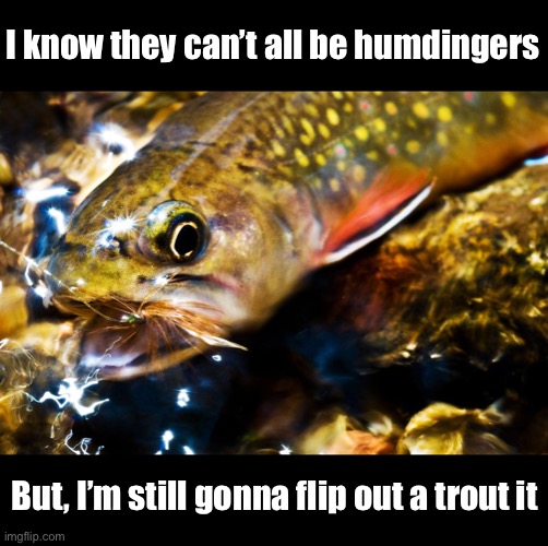 I know they can’t all be humdingers But, I’m still gonna flip out a trout it | made w/ Imgflip meme maker