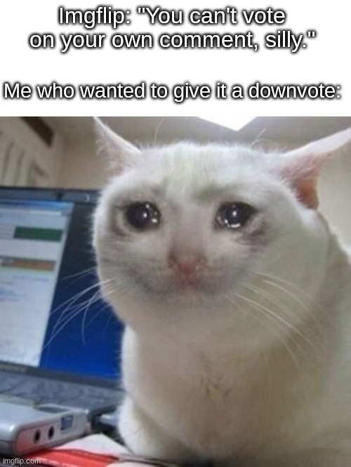 Imgflip: "You can't vote on your own comment, silly."; Me who wanted to give it a downvote: | image tagged in crying cat,funny,memes,imgflip,never gonna give you up,never gonna let you down | made w/ Imgflip meme maker