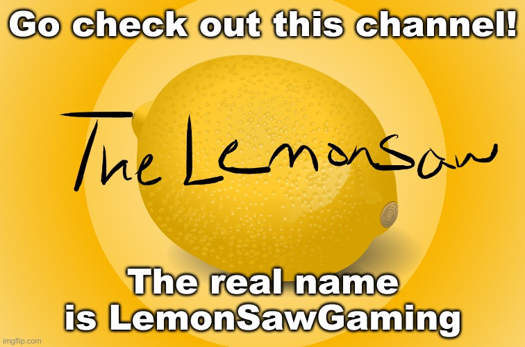 Im about to get banned | Go check out this channel! The real name is LemonSawGaming | image tagged in youtuber,check,pleasesubscribetoit | made w/ Imgflip meme maker