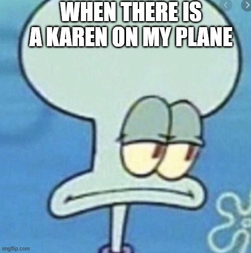 why | WHEN THERE IS A KAREN ON MY PLANE | image tagged in just why | made w/ Imgflip meme maker