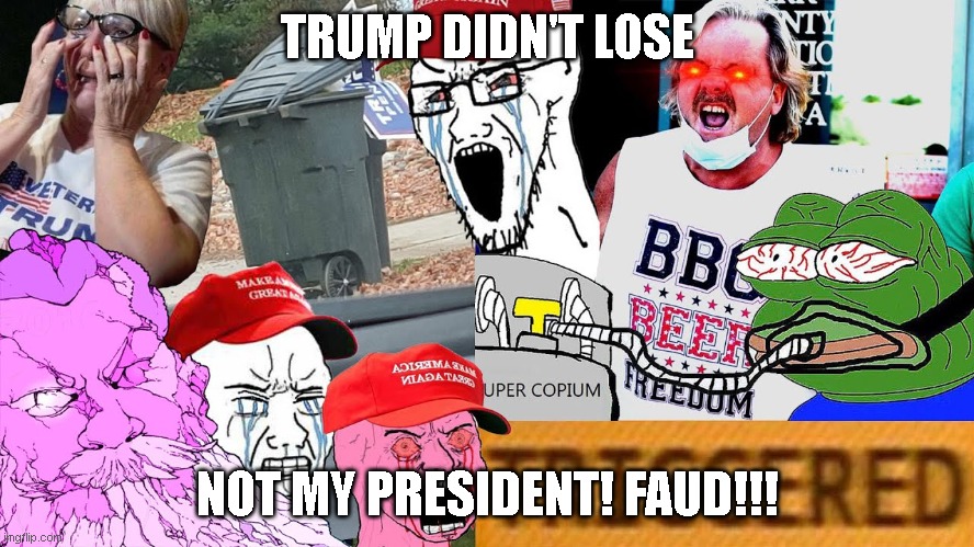 Triggered trump worshippers | TRUMP DIDN'T LOSE NOT MY PRESIDENT! FAUD!!! | image tagged in triggered trump worshippers | made w/ Imgflip meme maker