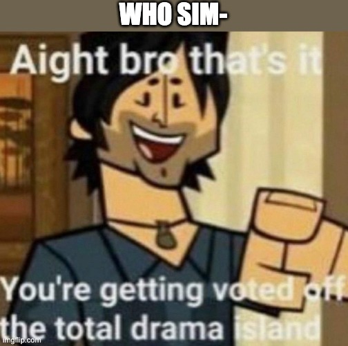 Alright bro, that’s it | WHO SIM- | image tagged in alright bro that s it | made w/ Imgflip meme maker