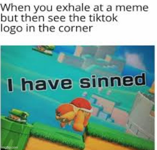 the sin of the century | image tagged in tik tok sucks | made w/ Imgflip meme maker