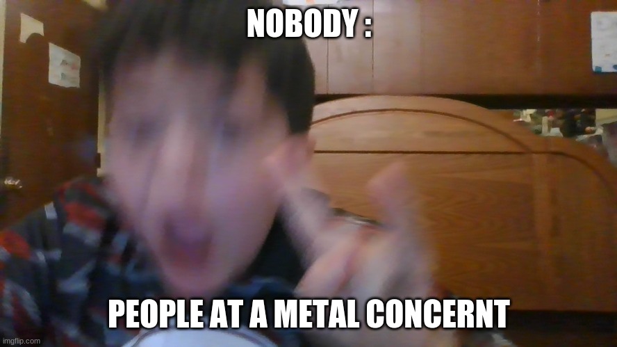 :> | NOBODY :; PEOPLE AT A METAL CONCERNT | image tagged in funny,cool | made w/ Imgflip meme maker