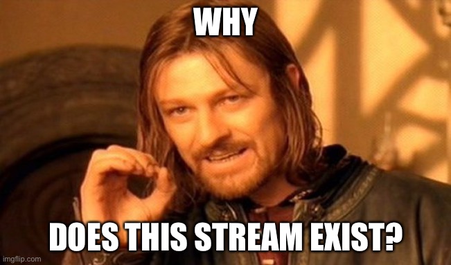 I’m gonna question my sanity | WHY; DOES THIS STREAM EXIST? | image tagged in memes,one does not simply | made w/ Imgflip meme maker