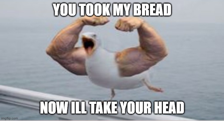 Muscle Arms Duck | YOU TOOK MY BREAD; NOW ILL TAKE YOUR HEAD | image tagged in muscle arms duck | made w/ Imgflip meme maker