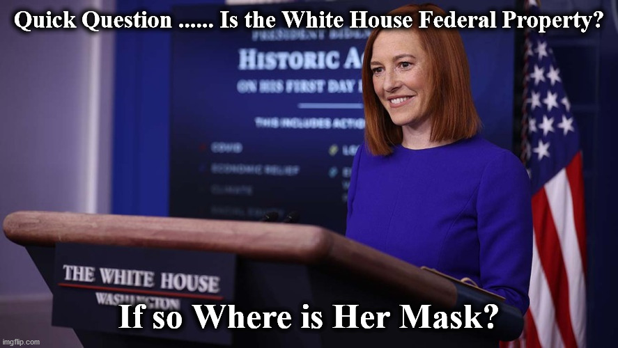 whouse | Quick Question ...... Is the White House Federal Property? If so Where is Her Mask? | image tagged in whouse | made w/ Imgflip meme maker