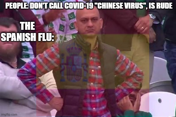 We should rename that disease then. | PEOPLE: DON'T CALL COVID-19 "CHINESE VIRUS", IS RUDE; THE SPANISH FLU: | image tagged in bald,disease | made w/ Imgflip meme maker