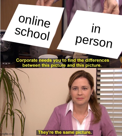 i hate both XD | online
school; in person | image tagged in memes,they're the same picture | made w/ Imgflip meme maker