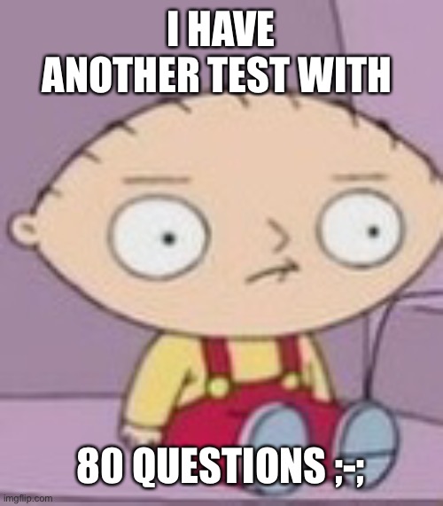 I HAVE ANOTHER TEST WITH; 80 QUESTIONS ;-; | made w/ Imgflip meme maker