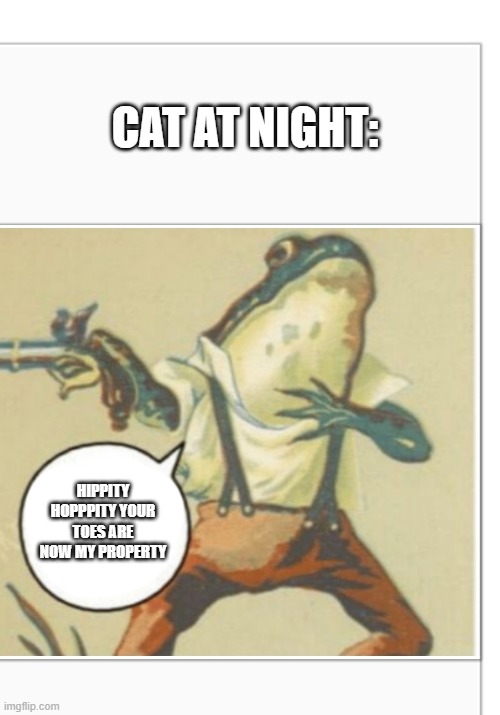 Hippity Hoppity (blank) | CAT AT NIGHT:; HIPPITY HOPPPITY YOUR TOES ARE NOW MY PROPERTY | image tagged in hippity hoppity blank | made w/ Imgflip meme maker