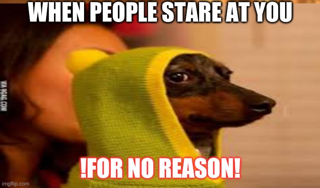 WHEN PEOPLE STARE AT YOU; !FOR NO REASON! | image tagged in relatable | made w/ Imgflip meme maker