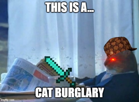 Cat burglars be like | THIS IS A... CAT BURGLARY | image tagged in memes,i should buy a boat cat,diamond sword,cat,burglar,robber | made w/ Imgflip meme maker