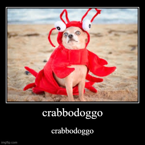 crabbodoggo | image tagged in funny,demotivationals,crab,dog | made w/ Imgflip demotivational maker