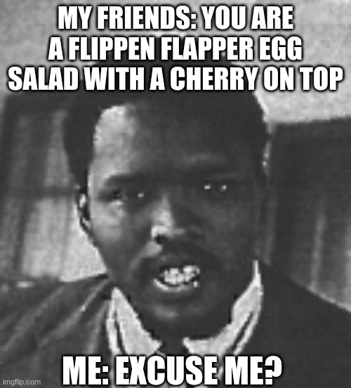 Say what? | MY FRIENDS: YOU ARE A FLIPPEN FLAPPER EGG SALAD WITH A CHERRY ON TOP; ME: EXCUSE ME? | image tagged in say what | made w/ Imgflip meme maker