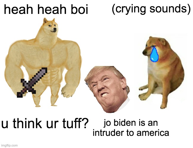 Buff Doge vs. Cheems Meme | heah heah boi; (crying sounds); u think ur tuff? jo biden is an intruder to america | image tagged in memes,buff doge vs cheems | made w/ Imgflip meme maker