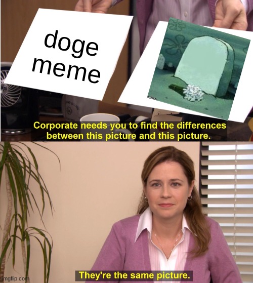 its dead, move on. | doge meme | image tagged in memes,they're the same picture | made w/ Imgflip meme maker