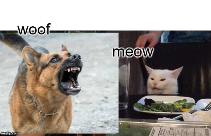 meow | woof; meow | image tagged in woof | made w/ Imgflip meme maker