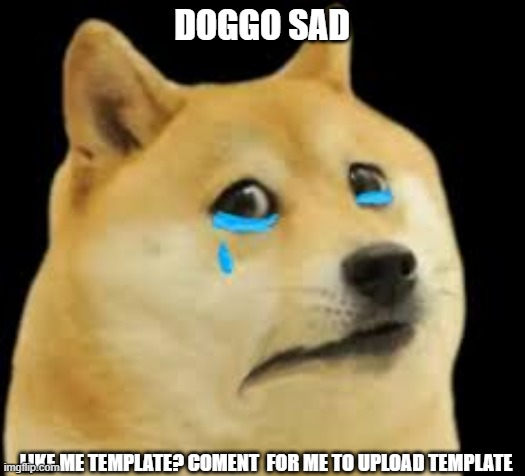 new template | DOGGO SAD; LIKE ME TEMPLATE? COMENT  FOR ME TO UPLOAD TEMPLATE | image tagged in sad doggo | made w/ Imgflip meme maker
