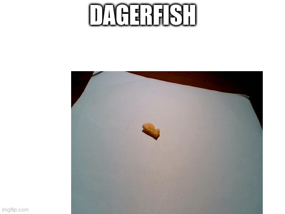 this is an actual gold fish in one of the bags i had | DAGERFISH | image tagged in funny | made w/ Imgflip meme maker