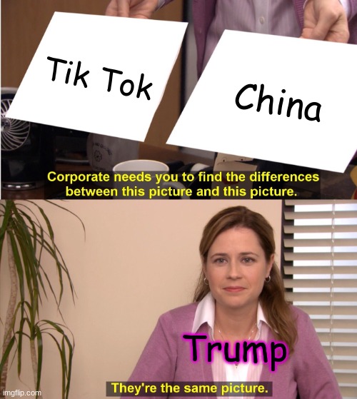 They're The Same Picture Meme | Tik Tok; China; Trump | image tagged in memes,they're the same picture | made w/ Imgflip meme maker