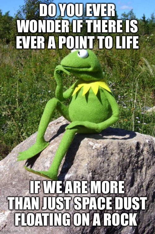 Kermit-thinking | DO YOU EVER WONDER IF THERE IS EVER A POINT TO LIFE; IF WE ARE MORE THAN JUST SPACE DUST FLOATING ON A ROCK | image tagged in kermit-thinking | made w/ Imgflip meme maker