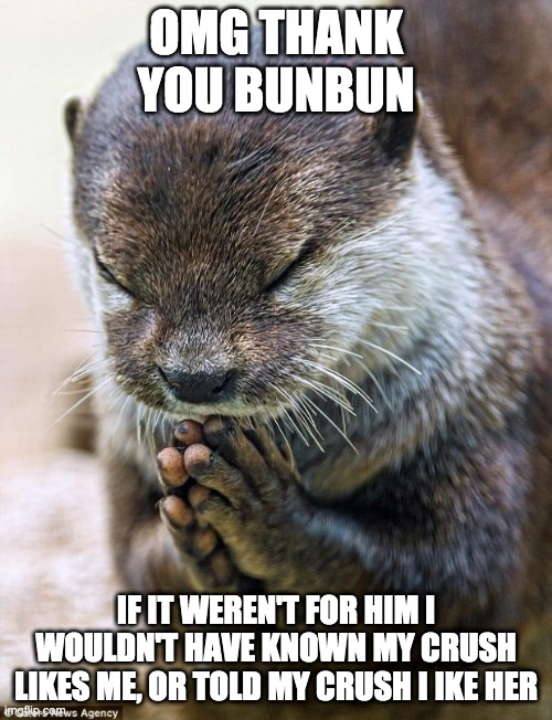 Guys everyone follow them | OMG THANK YOU BUNBUN; IF IT WEREN'T FOR HIM I WOULDN'T HAVE KNOWN MY CRUSH LIKES ME, OR TOLD MY CRUSH I IKE HER | image tagged in thank you lord otter | made w/ Imgflip meme maker