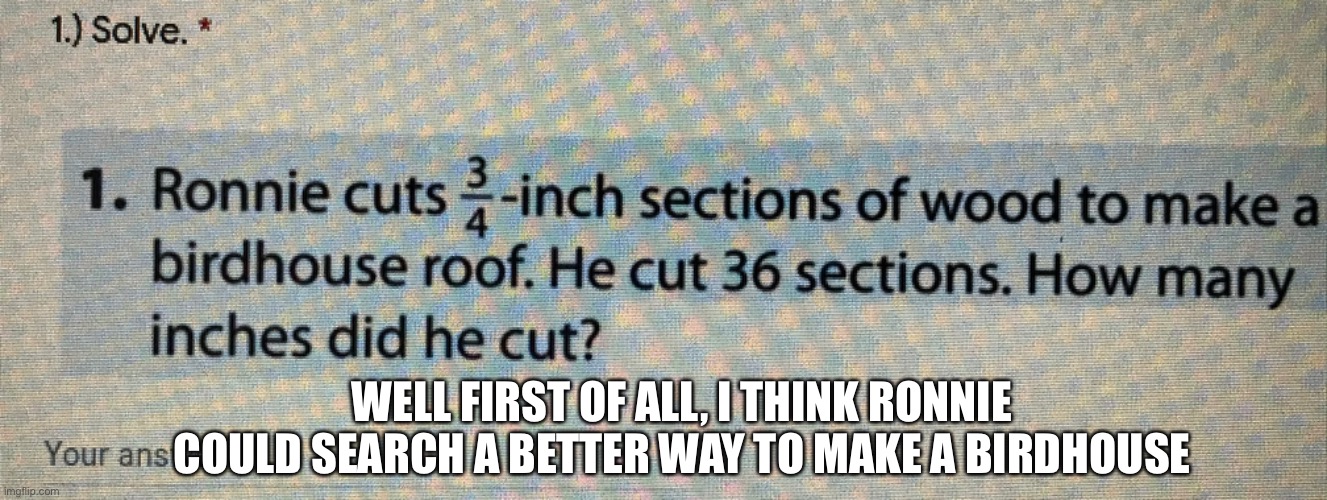 WELL FIRST OF ALL, I THINK RONNIE COULD SEARCH A BETTER WAY TO MAKE A BIRDHOUSE | image tagged in funny,memes,math,test | made w/ Imgflip meme maker