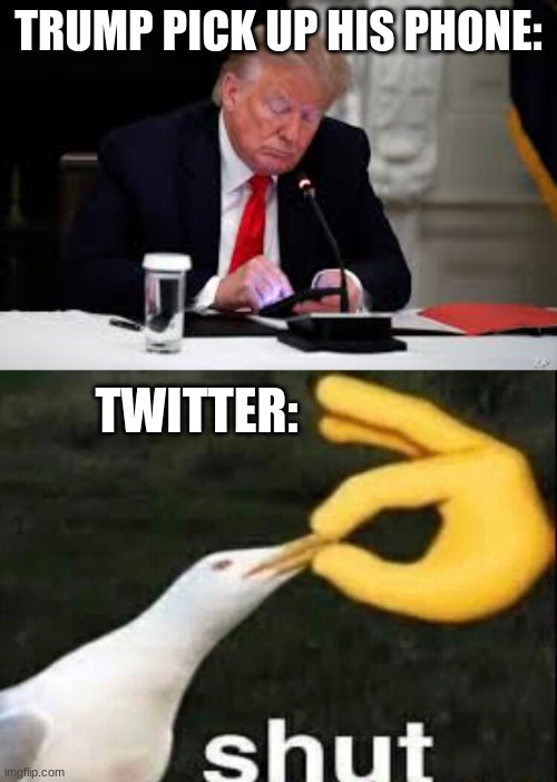 Mean't for funny reasons only | TRUMP PICK UP HIS PHONE:; TWITTER: | image tagged in shut,twitter | made w/ Imgflip meme maker