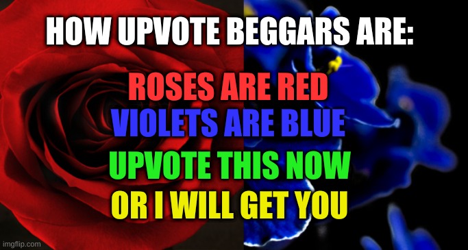 bruh | HOW UPVOTE BEGGARS ARE:; ROSES ARE RED; VIOLETS ARE BLUE; UPVOTE THIS NOW; OR I WILL GET YOU | image tagged in roses are red violets are blue | made w/ Imgflip meme maker